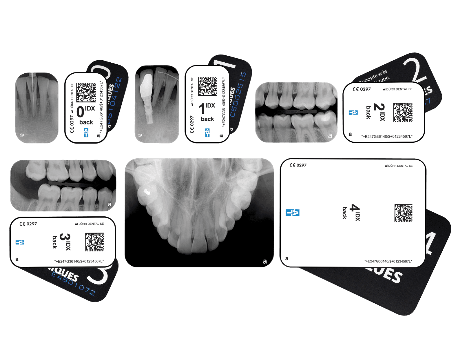 Both PSP Xrays-gl